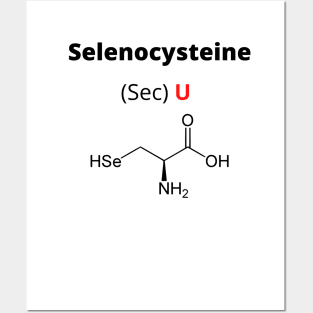 Amino acid selenocysteine Posters and Art